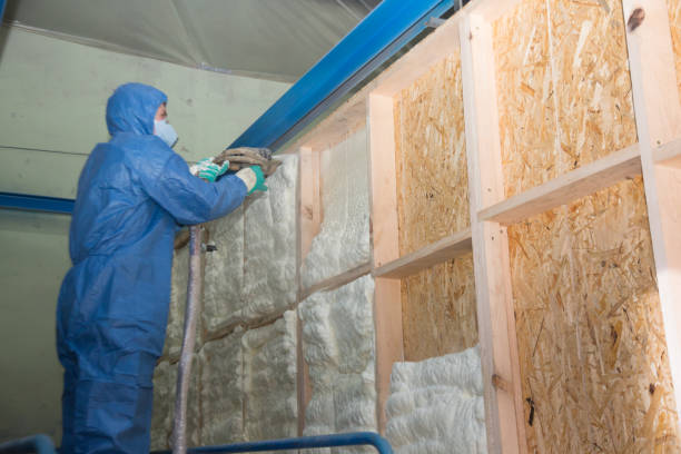 Professional Insulation Contractor in Navasota, TX